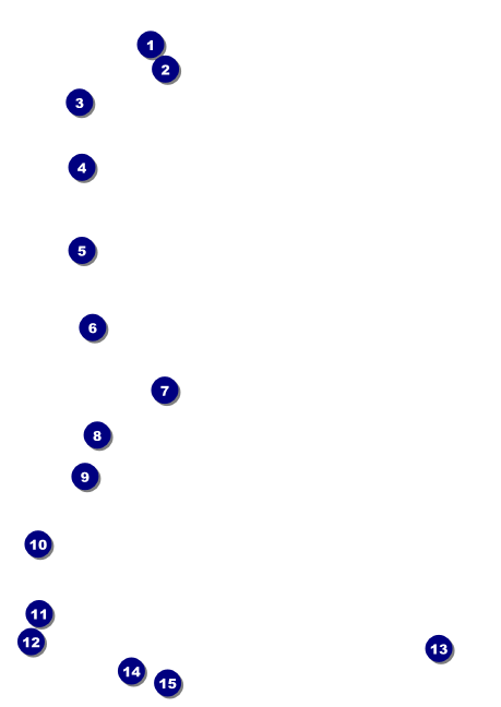 Music Festival Postcard Front Field Markers