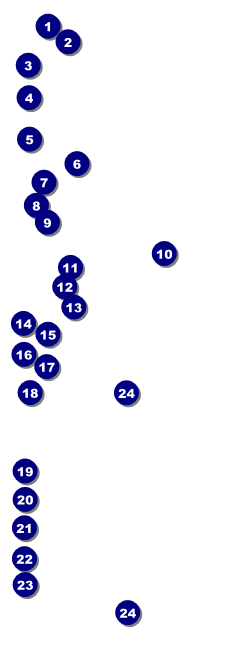 Music Festival Raffle Ticket Front Field Markers