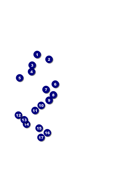 South Carolina Club Flyer Front Field Markers