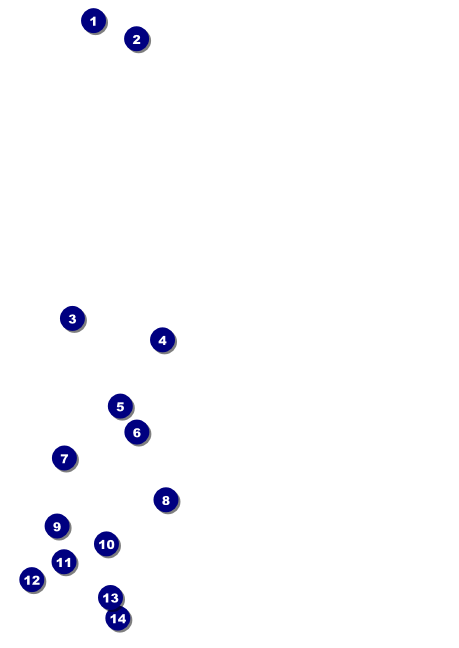 Renaissance Faire Armor Club Flyer Front Field Markers