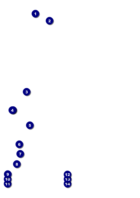 Bowling League Club Flyer Front Field Markers