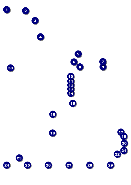 Class Reunion Mascot Purple Club Flyer Front Field Markers