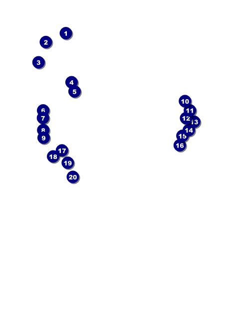 San Jose Club Flyer Front Field Markers