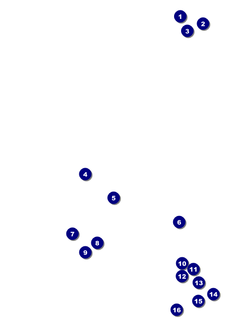 Chinese New Year Horse Club Flyer Front Field Markers